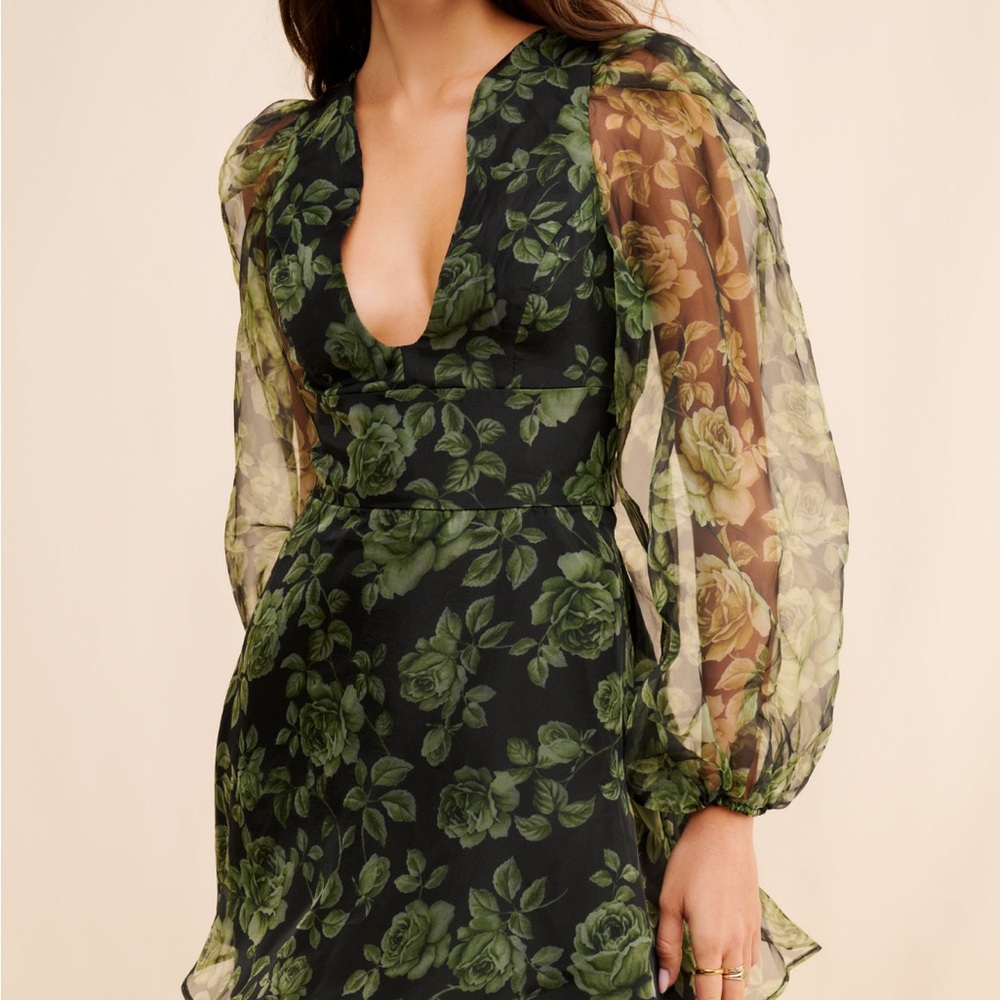 HUTCH Floral Green Dress with Sheer Sleeves